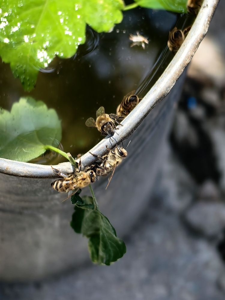 Photograph by Василий Шахмаев