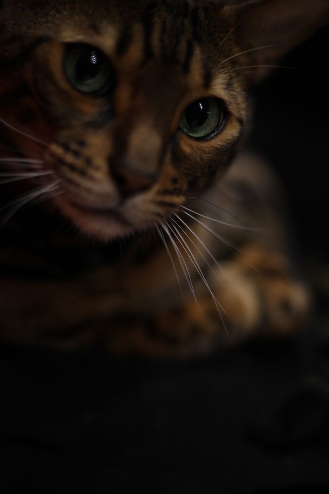 Photograph by Кирилл Ясковский