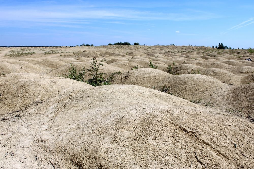 Photograph by Olga Bagaeva