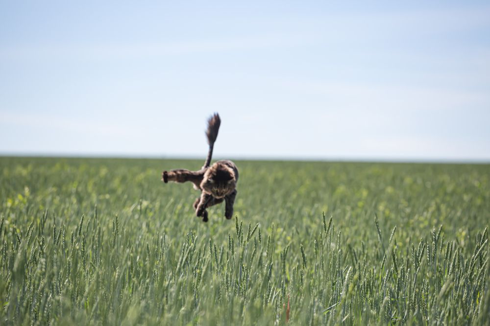 Фотография автора Дмитрий Новиков