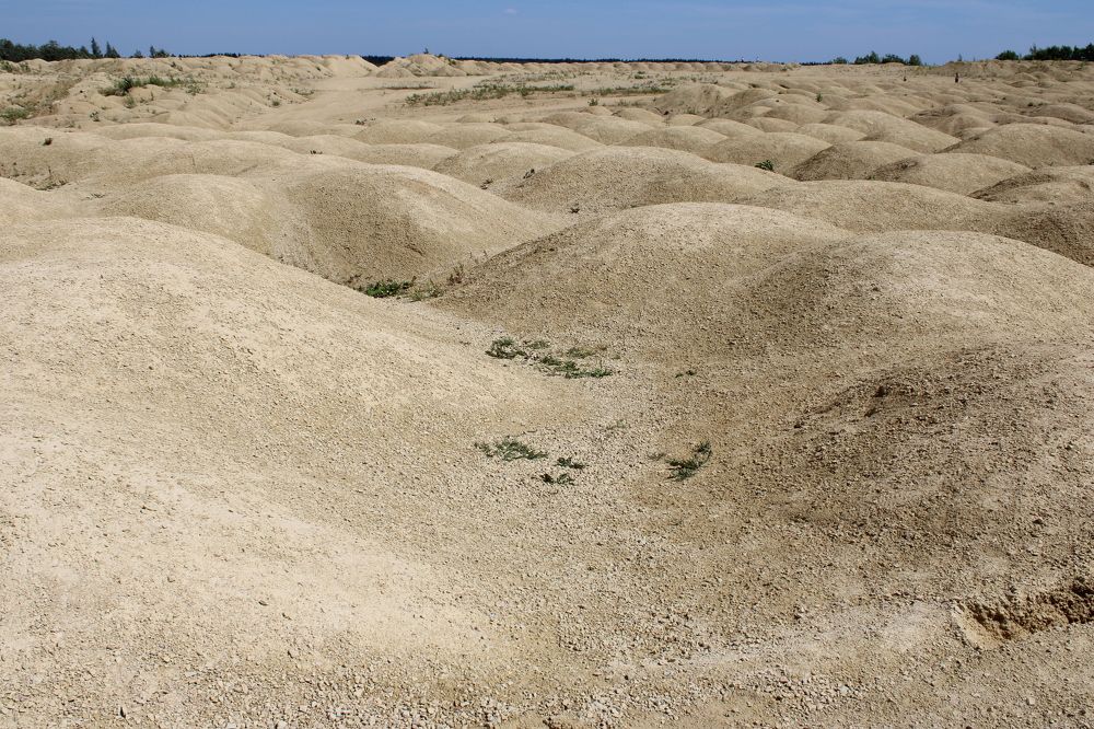 Photograph by Olga Bagaeva