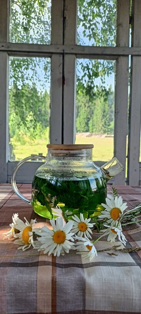 Photograph by Елена