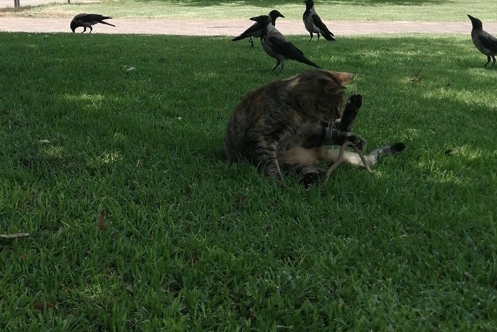 Photograph by Marina Eremin