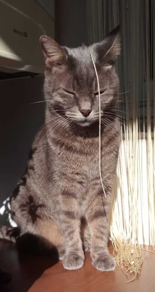 Photograph by Marina Eremin