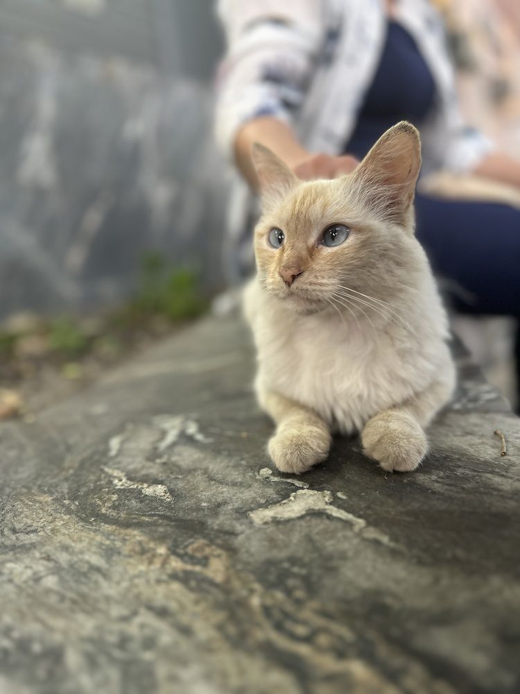 Фотография автора Alyanur Yuldasheva