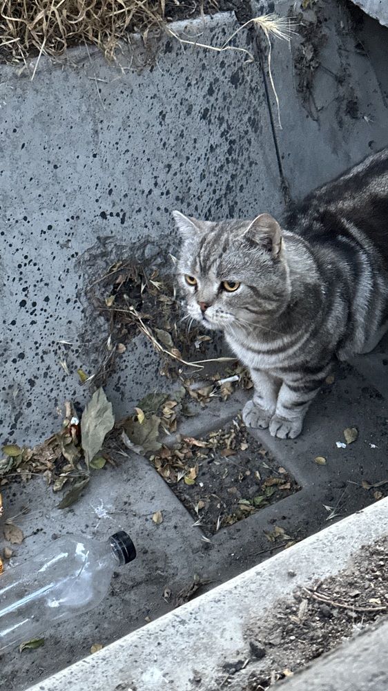 Фотография автора Alyanur Yuldasheva