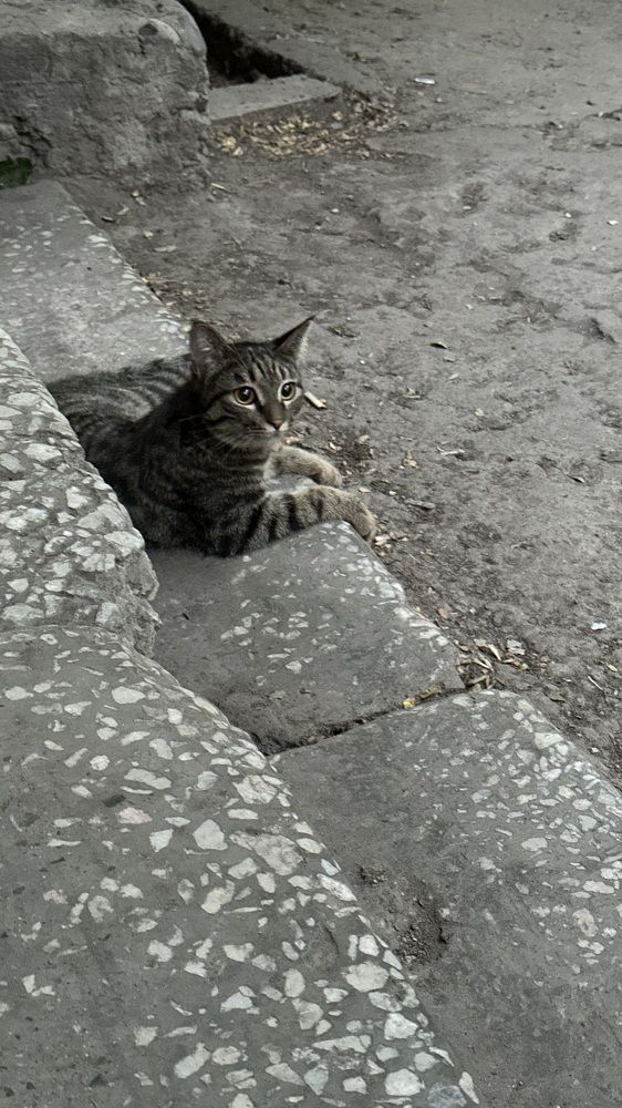 Фотография автора Alyanur Yuldasheva