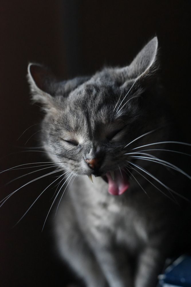 Photograph by Наталья Маслова