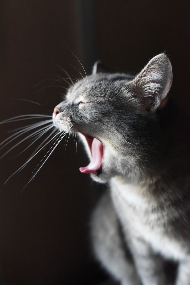 Photograph by Наталья Маслова