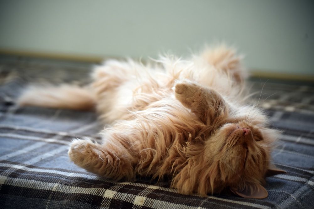 Photograph by Наталья Маслова