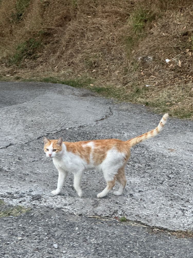 Photograph by Alexander Popov