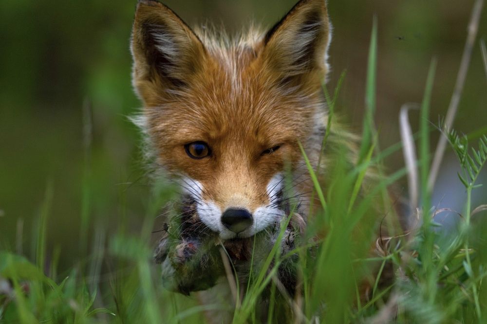 Фотография автора Viktoriya Kim