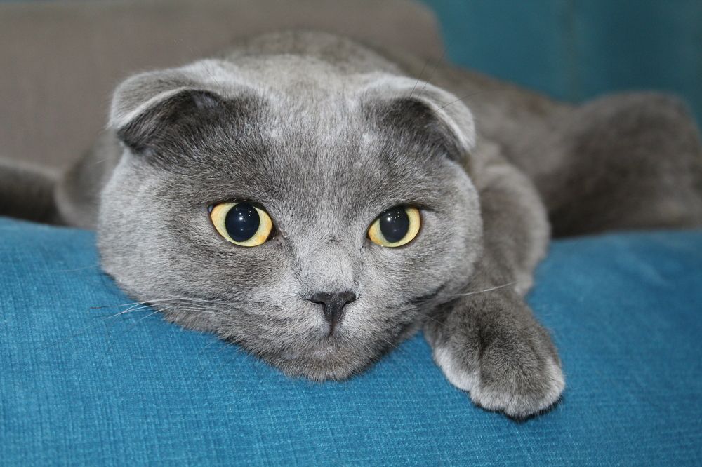 Photograph by Иван