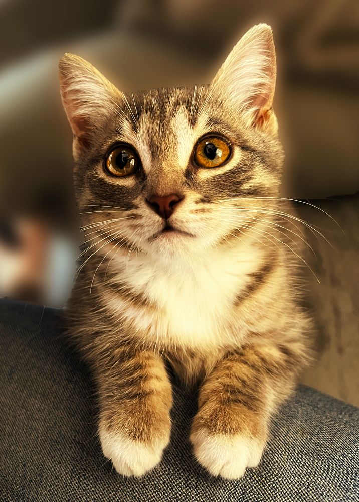 Photograph by Татьяна Михайловна