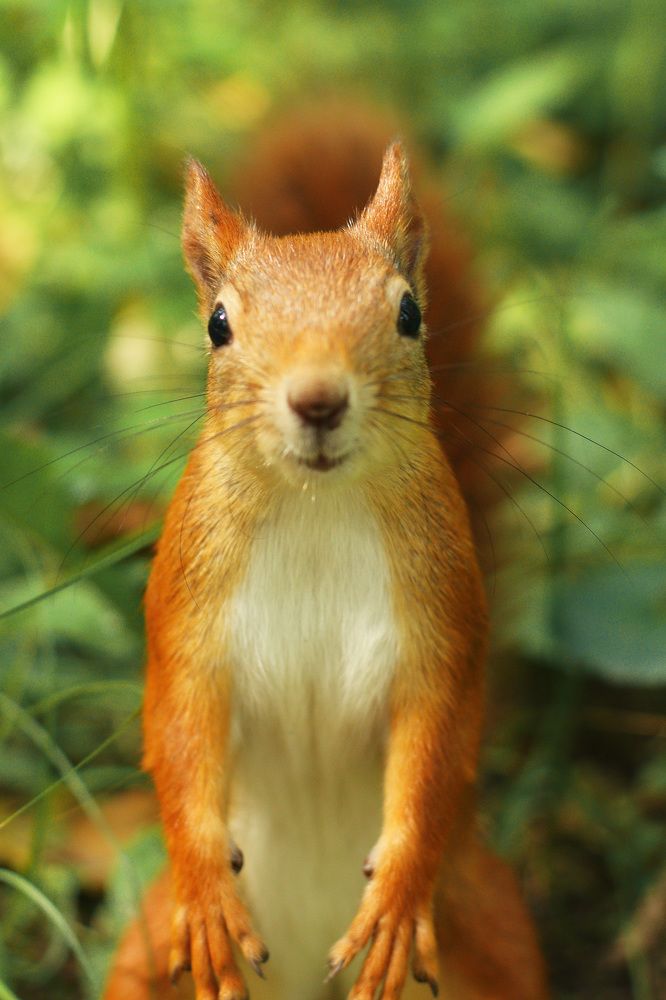 Photograph by Ирина Антонова