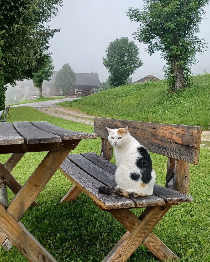 Photograph by Svetlana Ksenevich
