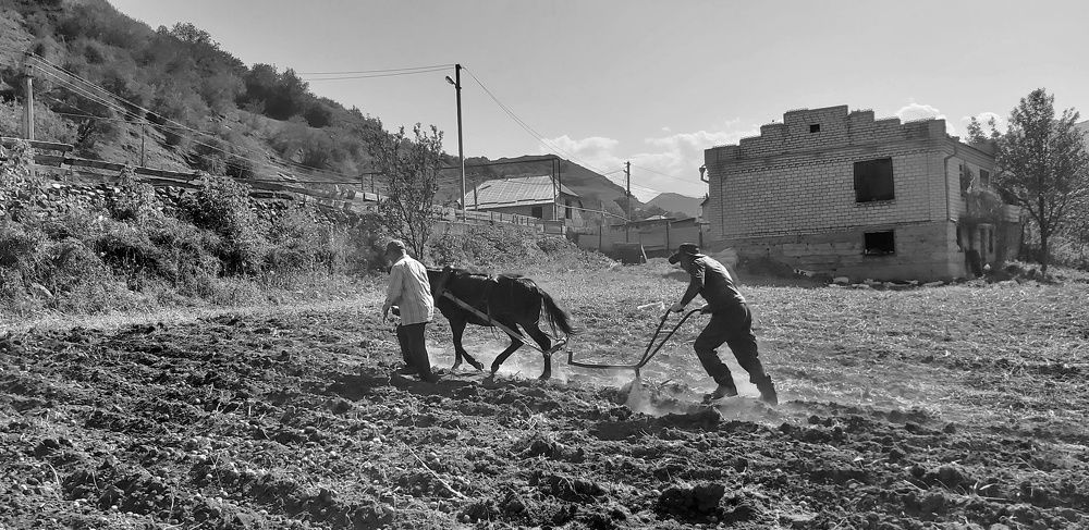 Сельская Весна !