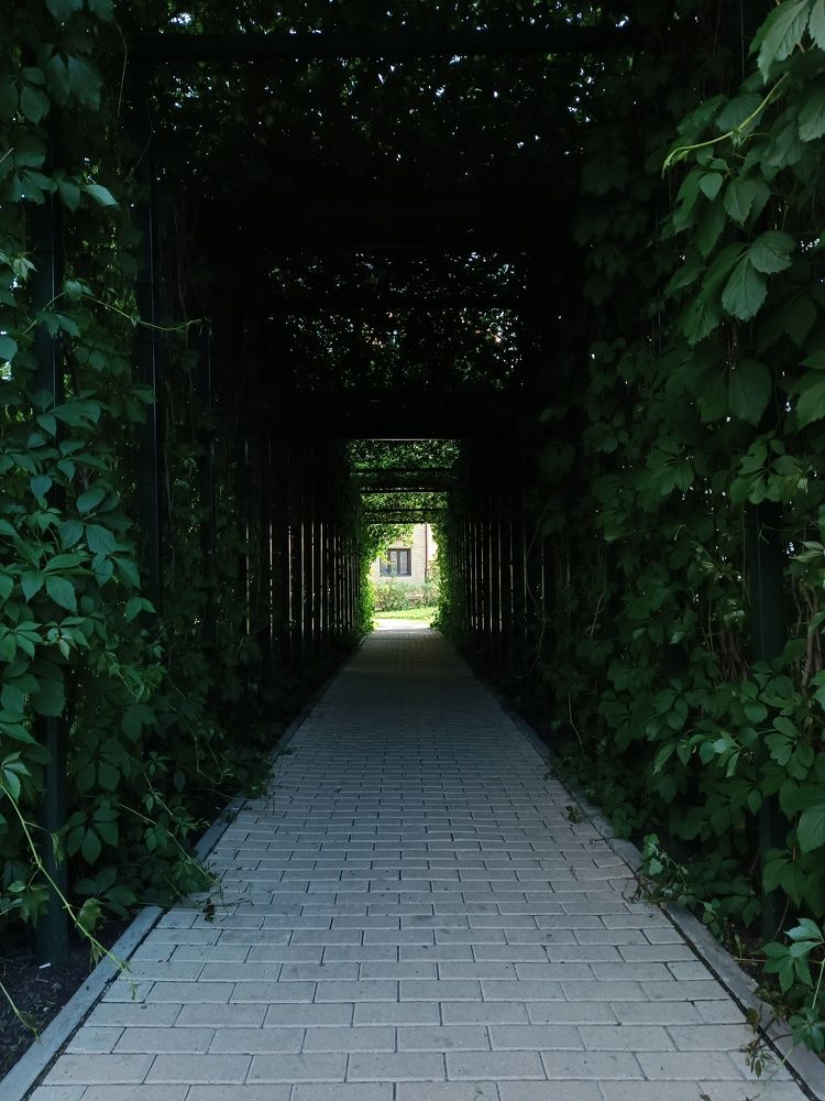 Photograph by Евгений Гонтов