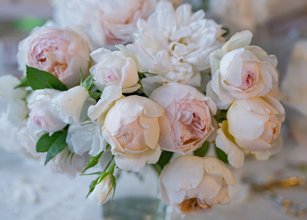 Photograph by NADEZHDA PELYMSKAIA