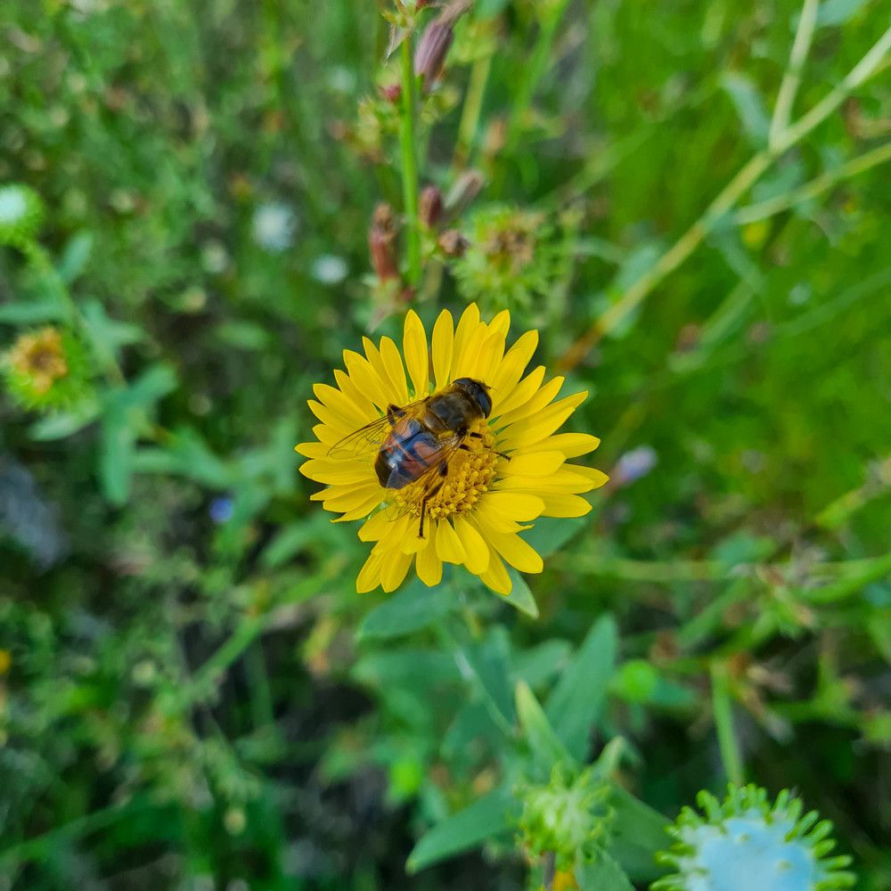Фотография автора Ирина Дашевская