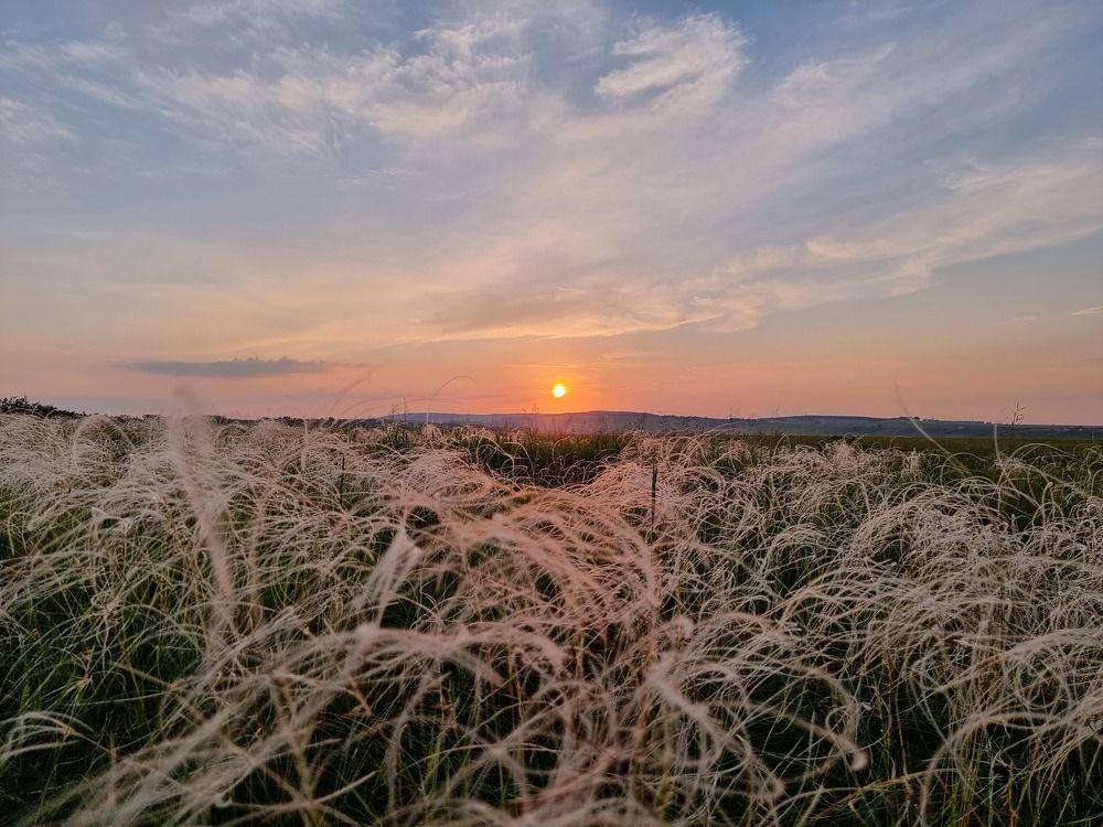 Photograph by Лилия Шарифуллина