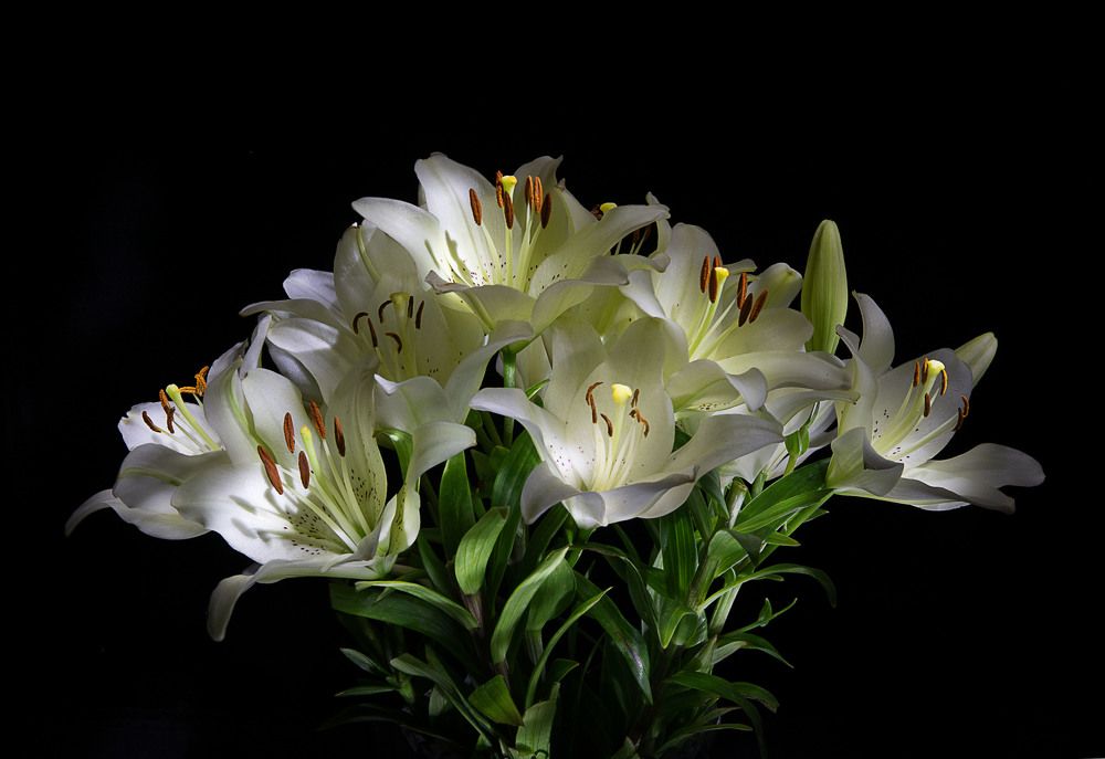 Photograph by Юрий Маслов