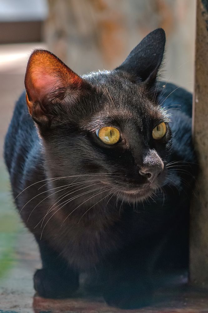 Photograph by Демьян Лопатов