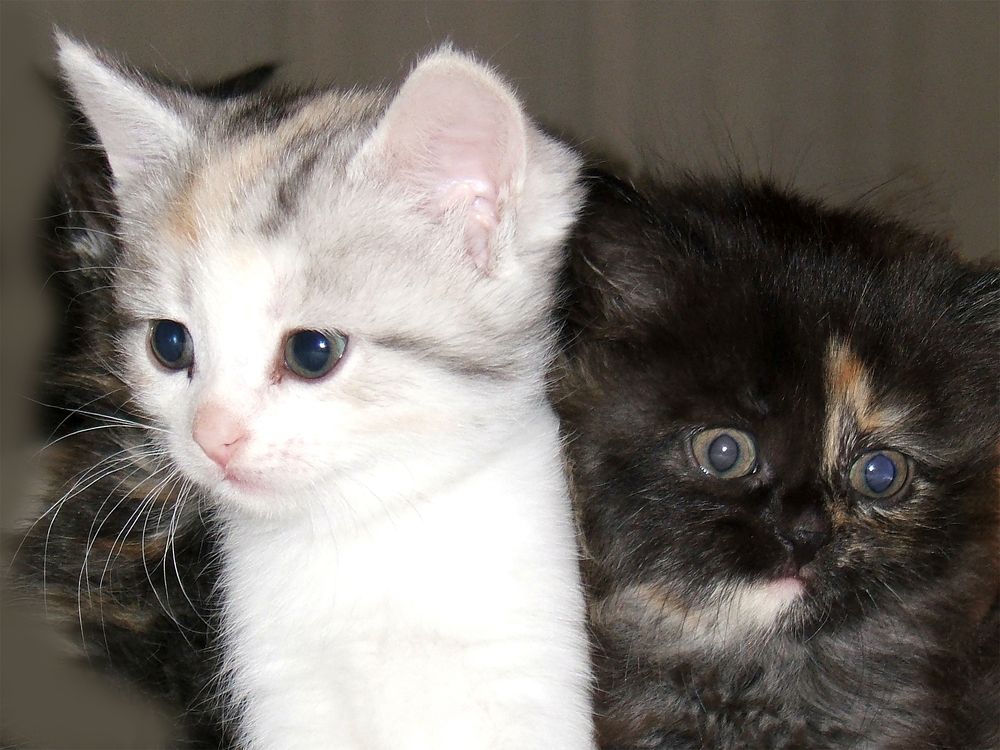 Photograph by Сергей Рудаков