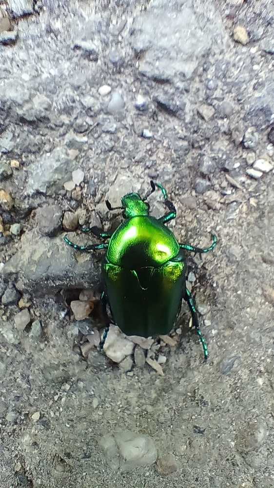 Photograph by Madalina Aur