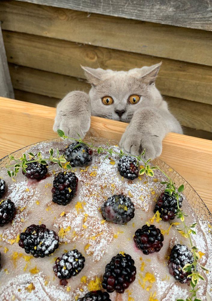 Photograph by Борис Соколов