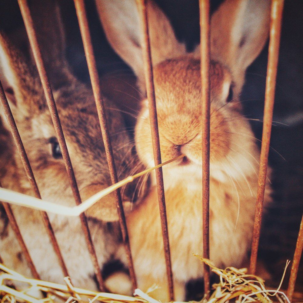 Фотография автора Шамиль