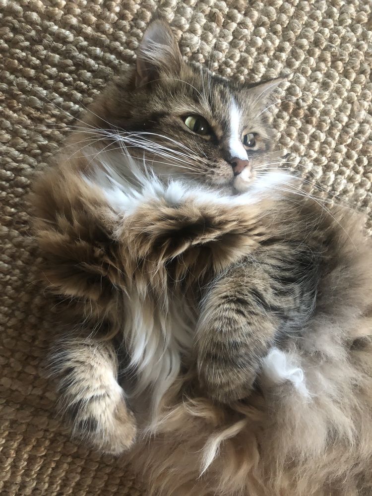 Photograph by Мария Бессмертная