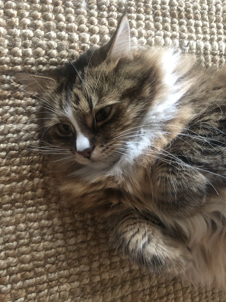 Photograph by Мария Бессмертная