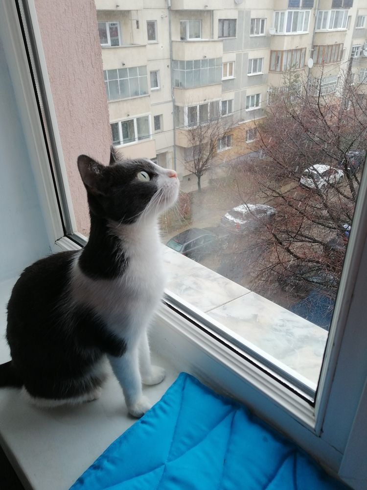 Photograph by Madalina Aur