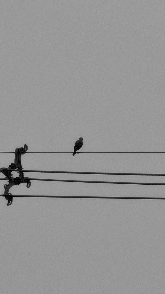 Photograph by Pietro Granieri Torres