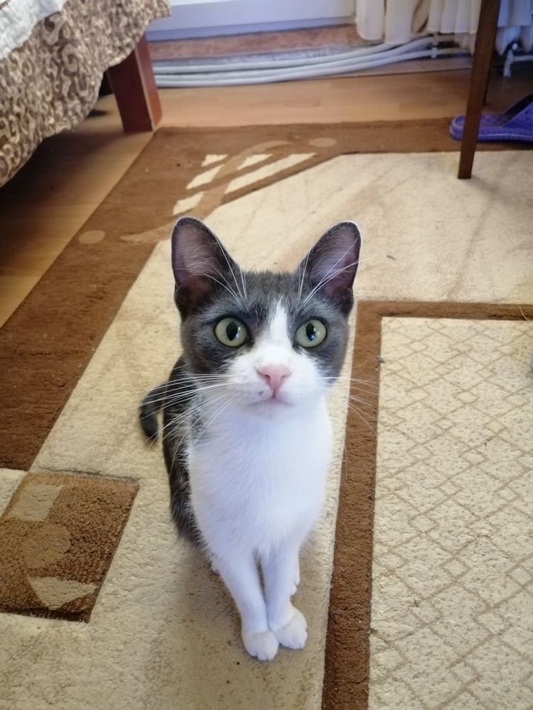 Photograph by Madalina Aur