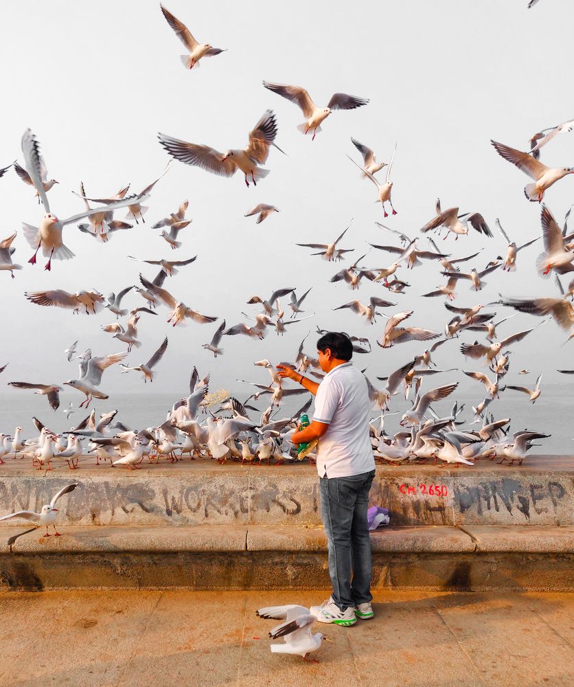 Photograph by Furqan Ahmed Golandaz