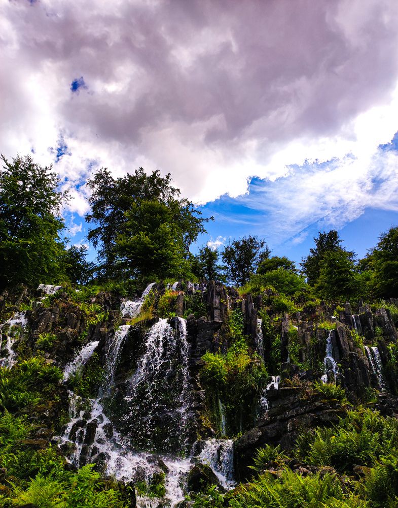 Photograph by Olga Dz