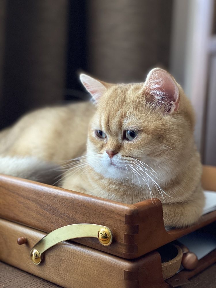 Photograph by Олег Дорошенко