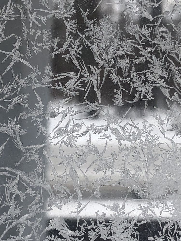 Photograph by Мария Бессмертная