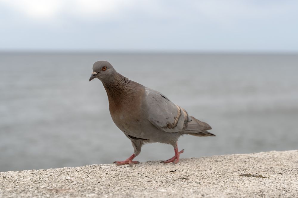 Photograph by Максим Бычин