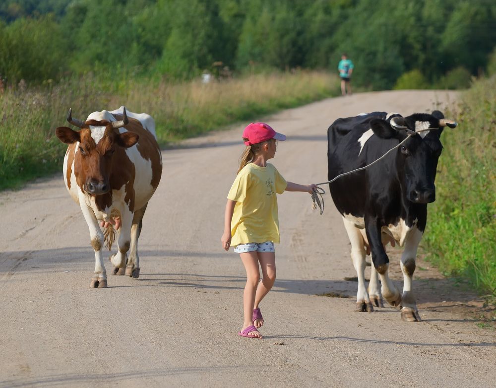 Photograph by Сергей Булат
