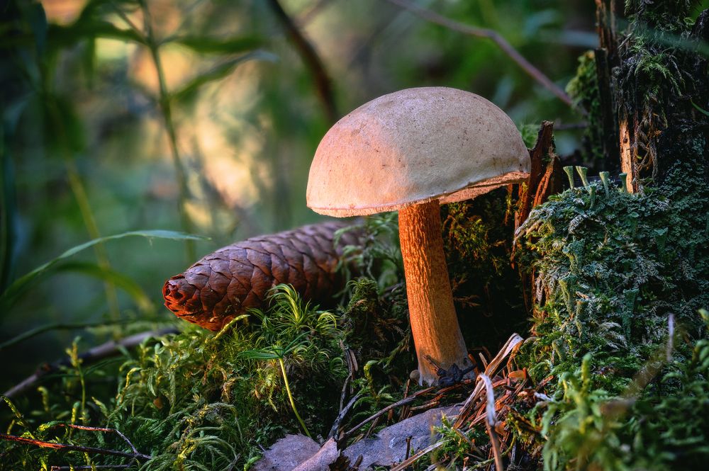 Photograph by Нуждин Андрей