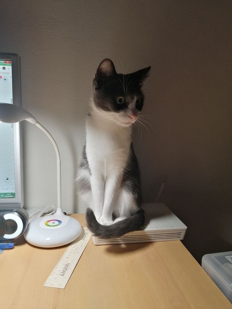 Photograph by Madalina Aur