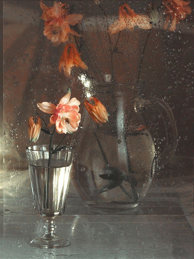 Photograph by Евсеева Валентина