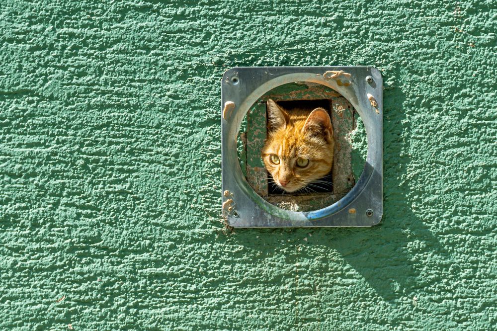 Фотография автора Minja Jovetic