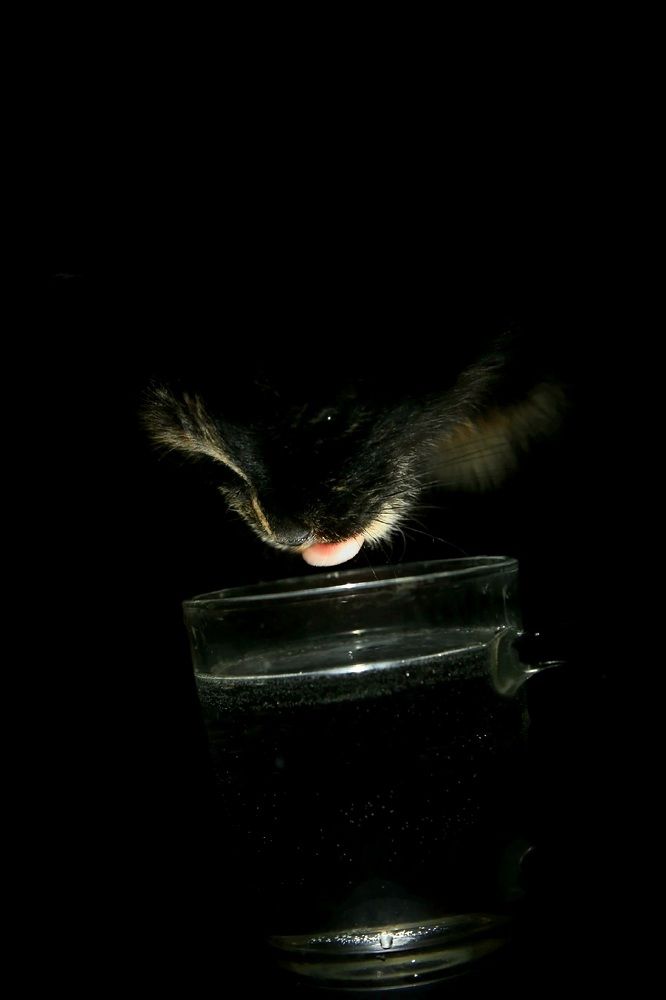 Фотография автора ОЛЬГА БУЛЫЧЕВА