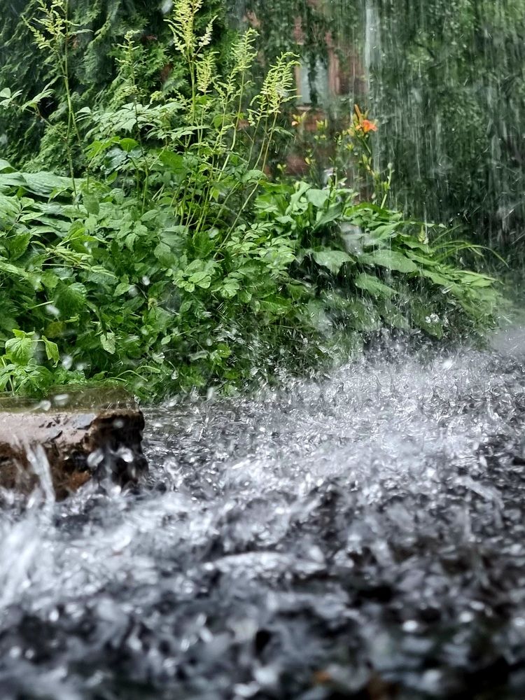 Фотография автора ОЛЬГА БУЛЫЧЕВА