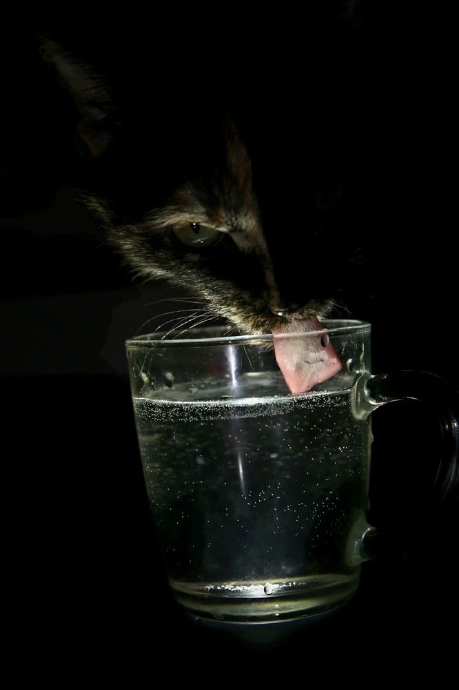 Фотография автора ОЛЬГА БУЛЫЧЕВА