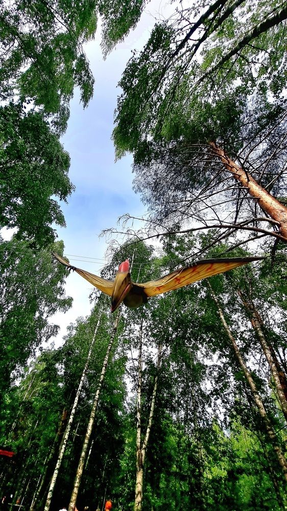 Фотография автора ОЛЬГА БУЛЫЧЕВА